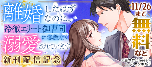 『離婚したはずなのに、冷徹エリート御曹司に容赦なく溺愛されています』新刊配信記念